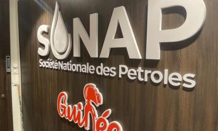 Guinée : une politique énergétique sous influence